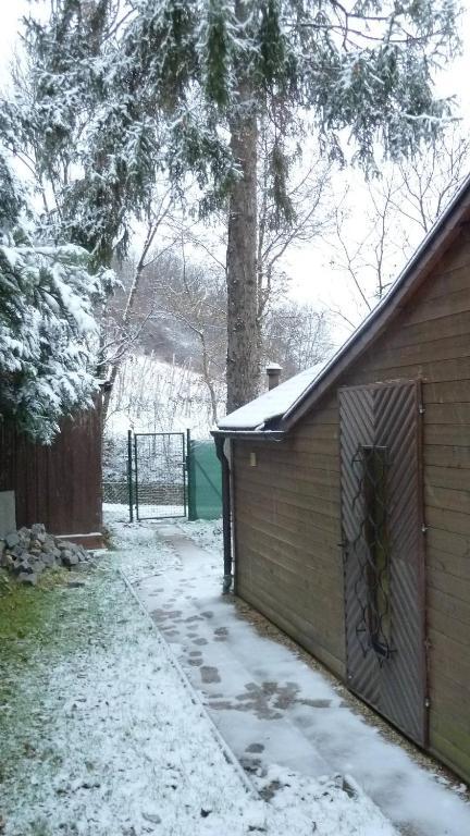 Vienna Cottage Wien